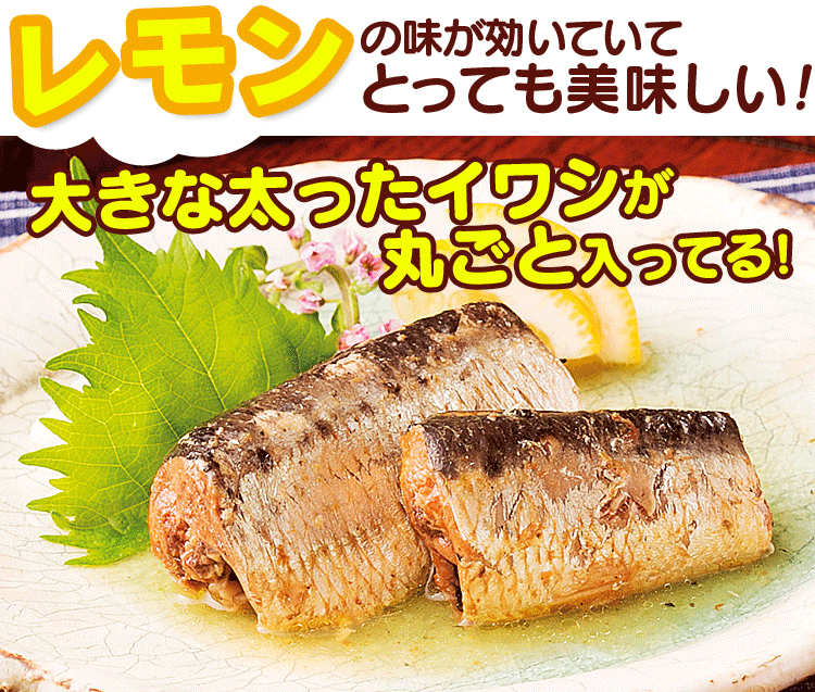 いわしレモン風味缶詰セット（２４缶セット）